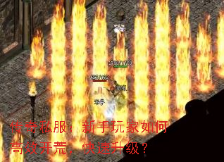 ˽θЧģ