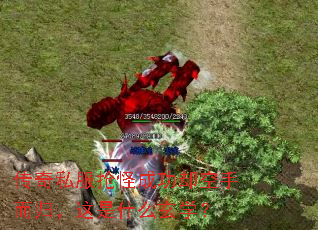 ˽ֳɹȴֶ飬ʲôѧ