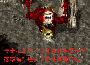˽ӵѧЧ