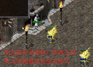 ع̽ǿУƼλʵ켰ӦԼ