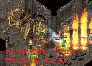 ع̽ǿУƼλʵ켰ӦԼ