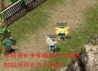 如何辨别未知暗殿中大量假BOSS并制定击杀策略? 如何辨别未知暗殿中大量假BOSS并制定击杀策略?
