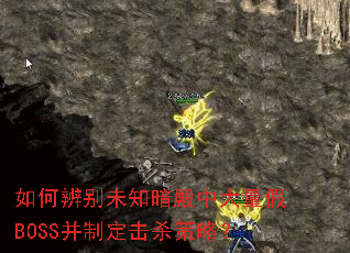 如何辨别未知暗殿中大量假BOSS并制定击杀策略? 如何辨别未知暗殿中大量假BOSS并制定击杀策略?