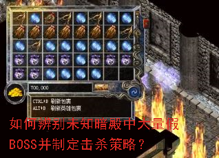 如何辨别未知暗殿中大量假BOSS并制定击杀策略? 如何辨别未知暗殿中大量假BOSS并制定击杀策略?