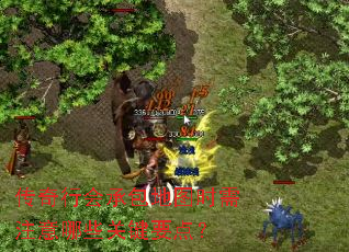 传奇行会承包地图时需注意哪些关键要点? 传奇行会承包地图时需注意哪些关键要点?