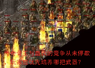 传奇骨玉与血饮的竞争从未停歇,玩家应优先培养哪把武器? 传奇骨玉与血饮的竞争从未停歇,玩家应优先培养哪把武器?