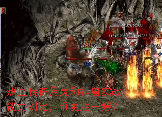 热血传奇月灵和神兽实战能力对比,谁更胜一筹? 热血传奇月灵和神兽实战能力对比,谁更胜一筹?