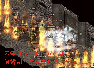 未知暗殿里的假boss如何辨别?实用攻略技巧分享 未知暗殿里的假boss如何辨别?实用攻略技巧分享