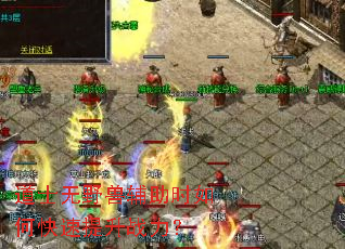 道士无野兽辅助时如何快速提升战力? 道士无野兽辅助时如何快速提升战力?