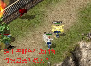 道士无野兽辅助时如何快速提升战力? 道士无野兽辅助时如何快速提升战力?