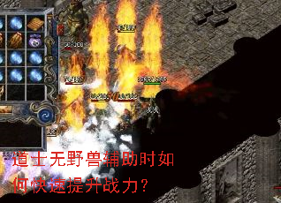 道士无野兽辅助时如何快速提升战力? 道士无野兽辅助时如何快速提升战力?