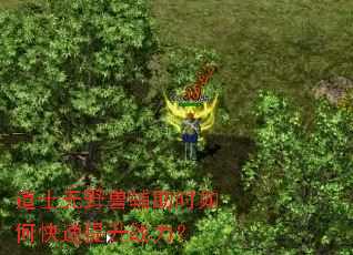 道士无野兽辅助时如何快速提升战力? 道士无野兽辅助时如何快速提升战力?