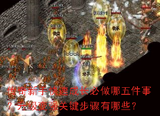 传奇新手快速成长必做哪五件事?升级变强关键步骤有哪些? 传奇新手快速成长必做哪五件事?升级变强关键步骤有哪些?