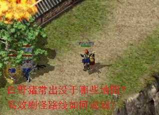 白野猪常出没于哪些地图?高效刷怪路线如何规划? 白野猪常出没于哪些地图?高效刷怪路线如何规划?