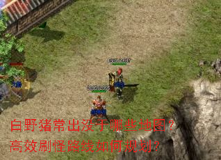 白野猪常出没于哪些地图?高效刷怪路线如何规划? 白野猪常出没于哪些地图?高效刷怪路线如何规划?