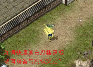 如何快速刷白野猪获取稀有装备与高级奖励? 如何快速刷白野猪获取稀有装备与高级奖励?