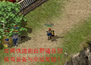 如何快速刷白野猪获取稀有装备与高级奖励? 如何快速刷白野猪获取稀有装备与高级奖励?
