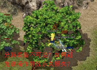 分解装备不可逆?如何避免误操作导致永久损失? 分解装备不可逆?如何避免误操作导致永久损失?