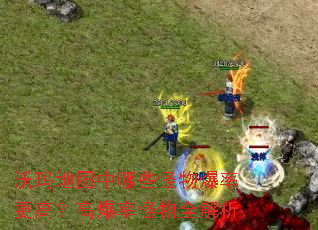 沃玛地图中哪些怪物爆率更高?高爆率怪物全解析 沃玛地图中哪些怪物爆率更高?高爆率怪物全解析