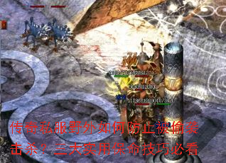 传奇私服野外如何防止被偷袭击杀?三大实用保命技巧必看 传奇私服野外如何防止被偷袭击杀?三大实用保命技巧必看