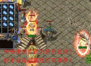 传奇里卖东西为何总被坑?新手必备避雷技巧有哪些? 传奇里卖东西为何总被坑?新手必备避雷技巧有哪些?