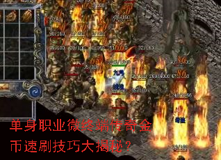 单身职业微终端传奇金币速刷技巧大揭秘? 单身职业微终端传奇金币速刷技巧大揭秘?