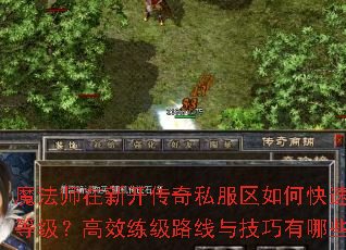 魔法师在新开传奇私服区如何快速提升等级?高效练级路线与技巧有哪些? 魔法师在新开传奇私服区如何快速提升等级?高效练级路线与技巧有哪些?