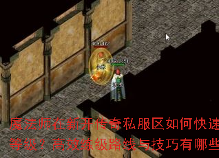 魔法师在新开传奇私服区如何快速提升等级?高效练级路线与技巧有哪些? 魔法师在新开传奇私服区如何快速提升等级?高效练级路线与技巧有哪些?