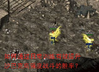 如何通过日常训练有效提升沙巴克高强度战斗的胜率? 如何通过日常训练有效提升沙巴克高强度战斗的胜率?