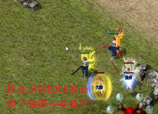 挑战世界BOSS前必须了解哪些关键点? 挑战世界BOSS前必须了解哪些关键点?