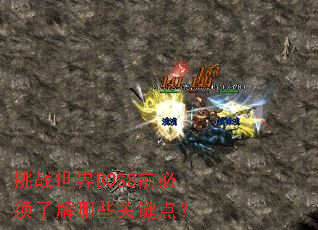 挑战世界BOSS前必须了解哪些关键点? 挑战世界BOSS前必须了解哪些关键点?