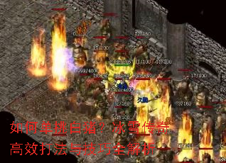 如何单挑白猪?冰雪传奇高效打法与技巧全解析 如何单挑白猪?冰雪传奇高效打法与技巧全解析