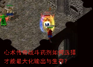 心术传奇战斗药剂如何选择才能最大化输出与生存? 心术传奇战斗药剂如何选择才能最大化输出与生存?