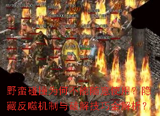 ҰײΪβʹãطɻƽ⼼ȫ