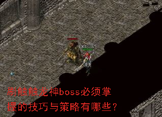 刷触触龙神boss必须掌握的技巧与策略有哪些? 刷触触龙神boss必须掌握的技巧与策略有哪些?