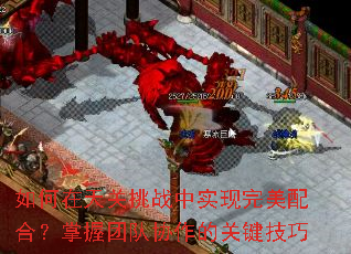 如何在天关挑战中实现完美配合?掌握团队协作的关键技巧 如何在天关挑战中实现完美配合?掌握团队协作的关键技巧