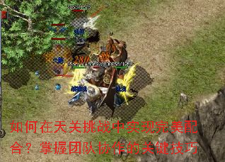 如何在天关挑战中实现完美配合?掌握团队协作的关键技巧 如何在天关挑战中实现完美配合?掌握团队协作的关键技巧