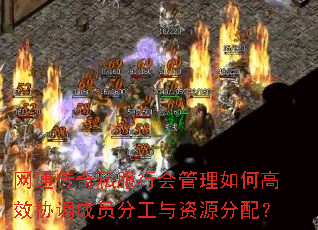 网通传奇私服行会管理如何高效协调成员分工与资源分配? 网通传奇私服行会管理如何高效协调成员分工与资源分配?