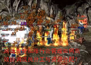 网通传奇私服行会管理如何高效协调成员分工与资源分配? 网通传奇私服行会管理如何高效协调成员分工与资源分配?