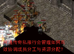 网通传奇私服行会管理如何高效协调成员分工与资源分配? 网通传奇私服行会管理如何高效协调成员分工与资源分配?
