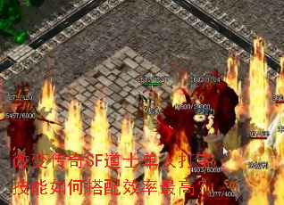 微变传奇SF道士单人打宝技能如何搭配效率最高? 微变传奇SF道士单人打宝技能如何搭配效率最高?