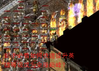 新手必看如何快速提升英雄等级成为全服巅峰? 新手必看如何快速提升英雄等级成为全服巅峰?
