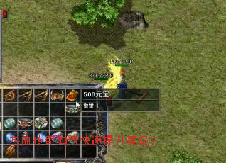 ��Ѫ������ο��������ȼ���