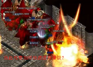 ��Ѫ������ο��������ȼ���