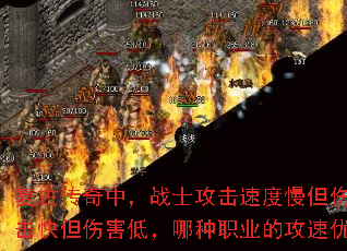 ���Ŵ����У�սʿ�����ٶ������˺��ߣ���ʦ�����쵫�˺��ͣ�����ְҵ�Ĺ������Ƹ�ʵ�ã�