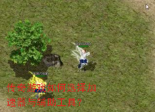 ������Ϸ���ѡ��������븨�����ߣ�