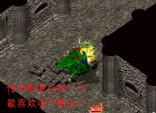 ����ְҵѡ������ϲ���ĸ�ְҵ��