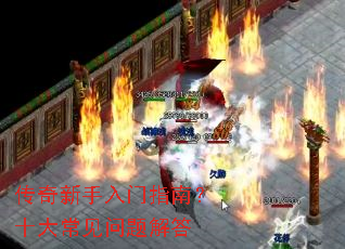 ������������ָ�ϣ�ʮ�󳣼�������