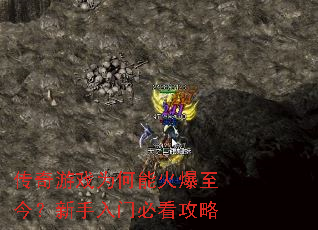 ������ϷΪ���ܻ������������űؿ�����