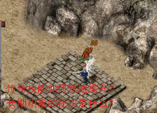 ���漼����ο������������ڻ��۵��ؾ���ʲô��